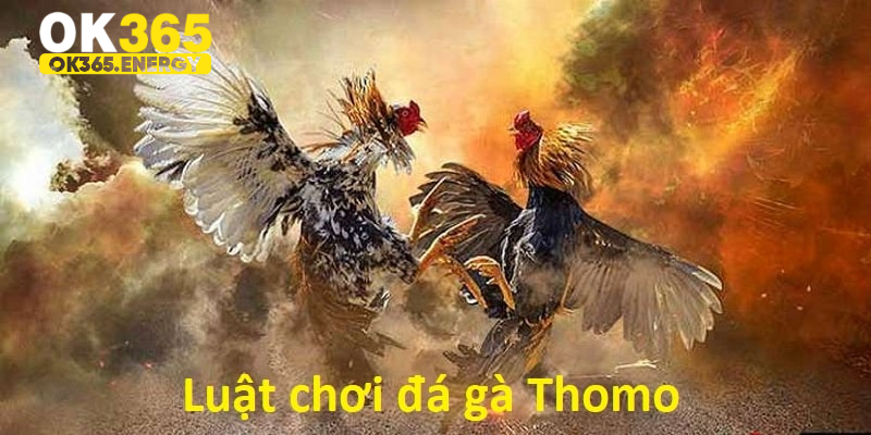 Cập nhật luật chơi đá gà Thomo mới nhất